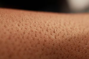 ブラジリアンワックス脱毛と他の脱毛方法との違い